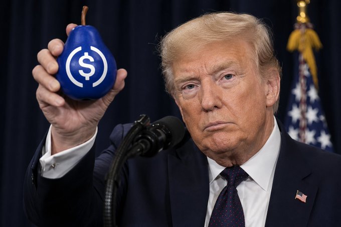 Donald Trump holding up the USDC pear